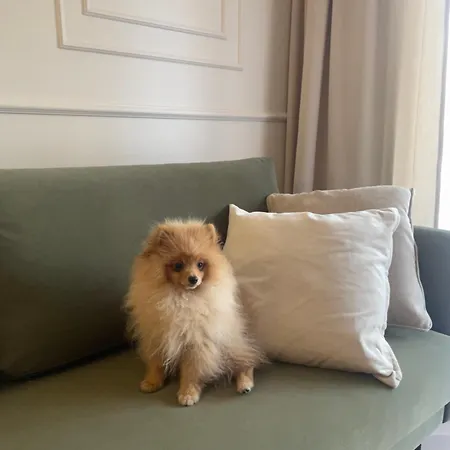 Premium Przy Plazy Morzlive Apartmán