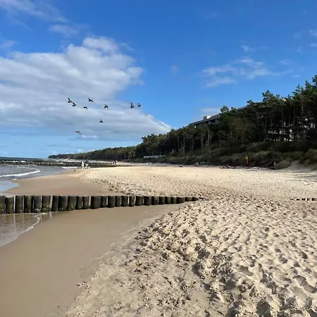 Premium Przy Plazy Morzlive Apartmán *