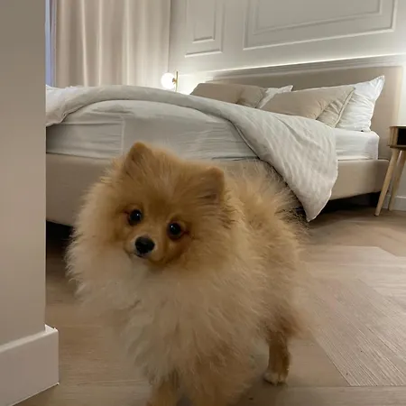 Apartmán Premium Przy Plazy Morzlive