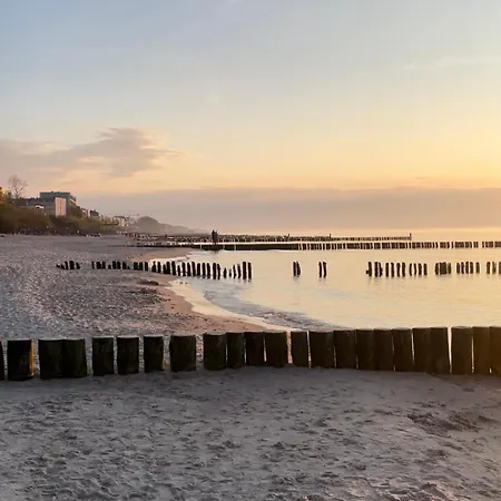 Premium Przy Plazy Morzlive *