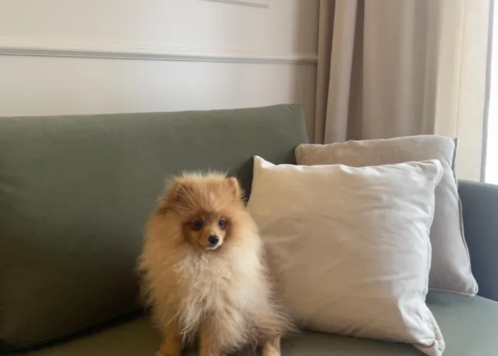 Premium Przy Plazy Morzlive Apartment