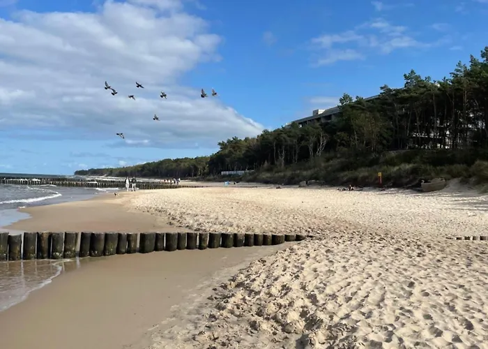 Premium Przy Plazy Morzlive شقة *