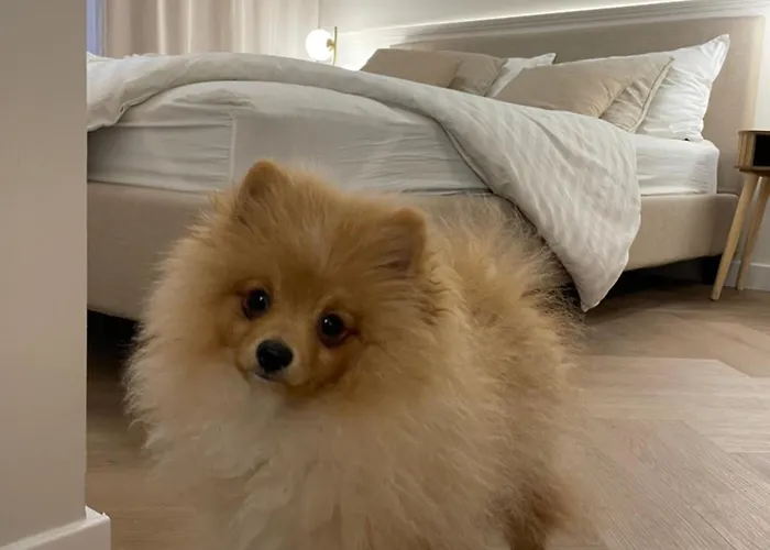 شقة Premium Przy Plazy Morzlive